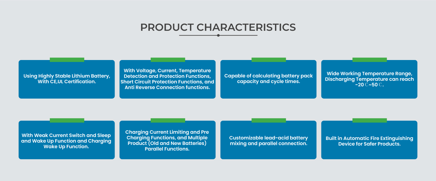 Lithium Battery-Wall mounted LB100AH/51.2VTA
