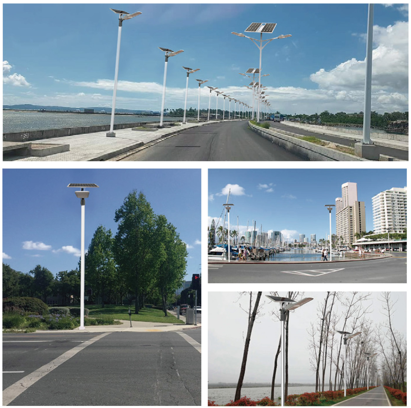 Separated Solar Street Lights