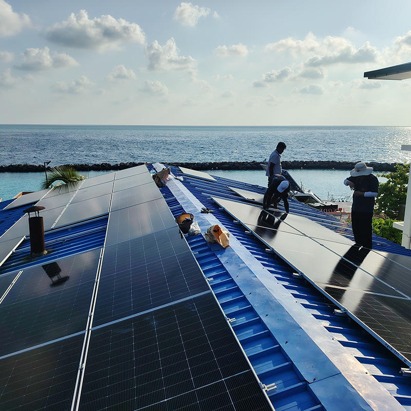 Global Customer Visits Underscore Growing Trust in Singfo Solar