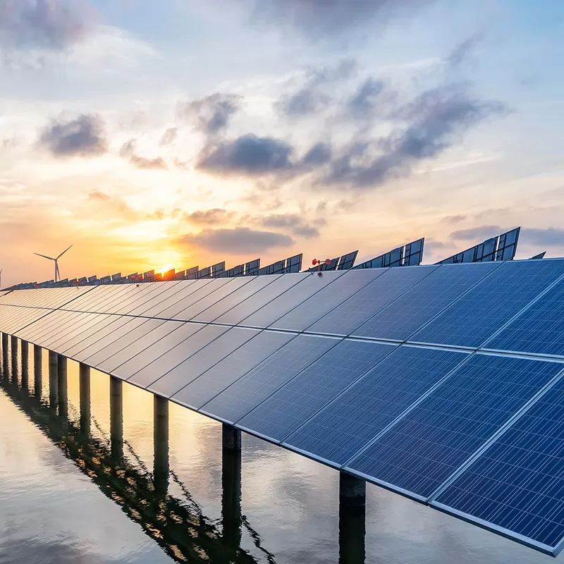 Global Solar Industry Booms in 2025: Emerging Markets and Policy Support Drive Growth